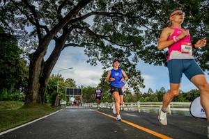 BIB: 
                            <button type="button" onclick="openModal(26537396)" class="btn btn-primary btn-sm float-right btn-popup" data-toggle="modal" data-target=".modal-high-quality">
                        <i class="fas fa-shopping-cart"></i> Add to Cart
                    </button>
                                            <button type="button" onclick="isThisMe(26537396, true)" class="btn btn-success btn-sm float-right btn-popup btn-isme hidden" data-toggle="tooltip" data-placement="bottom" title="นี่คือรูปของคุณใช่ไหม คลิกที่นี่เพื่อเอาเข้าอัลบั้ม">
                        <i class="fas fa-plus"></i> Add to album
                    </button>
                    <button type="button" onclick="isThisMe(26537396, false)" class="btn btn-warning btn-sm float-right btn-popup btn-isnotme hidden">
                        <i class="fas fa-ban"></i> Remove from album
                    </button>